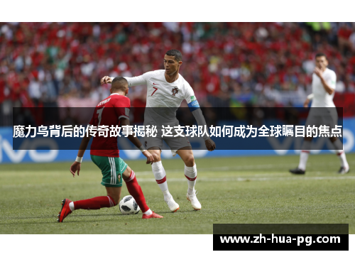 魔力鸟背后的传奇故事揭秘 这支球队如何成为全球瞩目的焦点 魔力鸟背后的传奇故事揭秘 这支球队如何成为全球瞩目的焦点