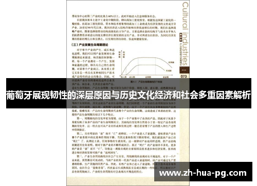 葡萄牙展现韧性的深层原因与历史文化经济和社会多重因素解析