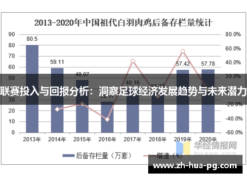 联赛投入与回报分析：洞察足球经济发展趋势与未来潜力